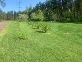 Дом 390 м2, участок 40 соток
