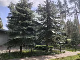 Дом 390 м2, участок 40 соток
