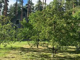 Дом 390 м2, участок 40 соток